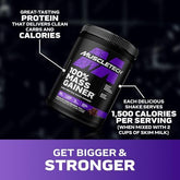 MuscleTech Mass Gainer | 100% Mass Gainer Protein Powder | Protein Powder for Muscle Gain | Whey Protein + Muscle Builder | Weight Gainer Protein Powder | Creatine Supplements | Chocolate, 5.15 lbs